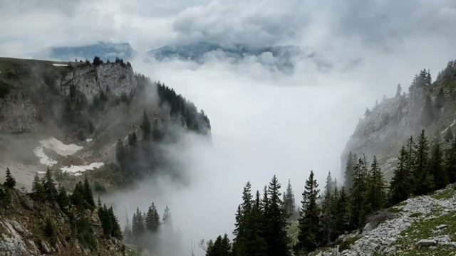 Spenta_Mainyu Melody Music Background Audio Relaxing Your Mind смотреть онлайн