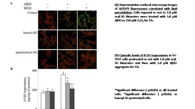 Euvitase and Renovase : engineering a new antioxidant molecule with dual protective effect смотреть онлайн
