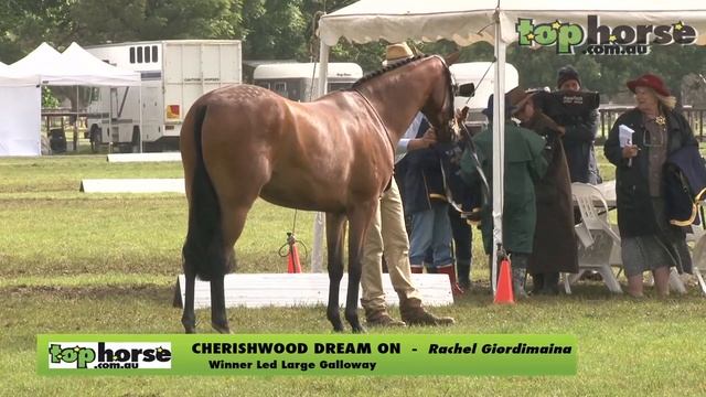 Supreme Led Horse of the Year - Show Horse Council of Victoria 2013. смотреть онлайн