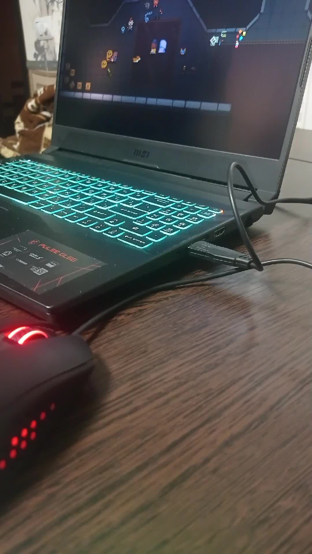 играю в Enter The Gungeon