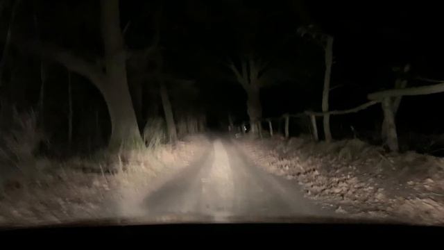 Prawdopodobne uprowadzenie kobiety - Olsztyn 12.02.2019r. смотреть онлайн