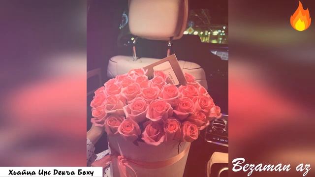 Красивая Песня Хьайца Ирс Декъа Боху😍 смотреть онлайн