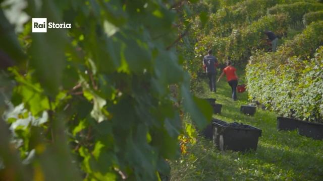 RaiStoria - Langhe e Roero - Siti Italiani del Patrimonio mondiale dellUmanità UNESCO