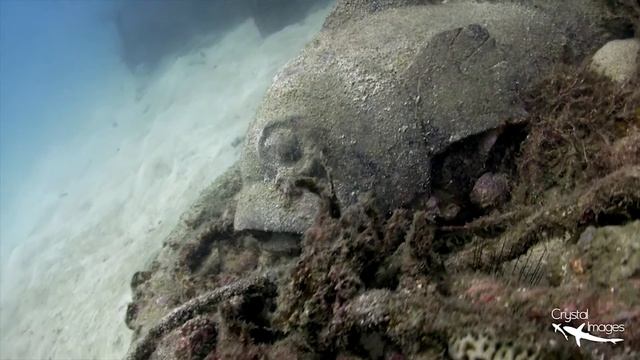 Buoyancy world dive site Koh Tao, Thailand. #underwater #video #kohtao смотреть онлайн