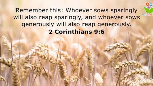 Now He Who Supplies Seed To The Sower #bible Quotes #christ #proverbs #thinkcreatelearn