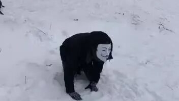 СНЮСОЕД МЕНЯ АТАКОВАЛ!!!! смотреть онлайн