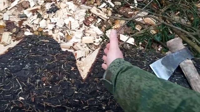 Как надо рубить толстое дерево смотреть онлайн