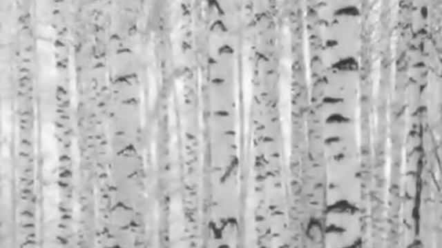 Пелагея     В горнице  на стихи Н Рубцова