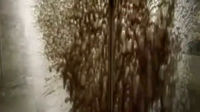 Не понтуйся, будь собой! смотреть онлайн