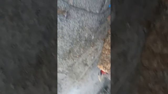 обзор захватов смотреть онлайн