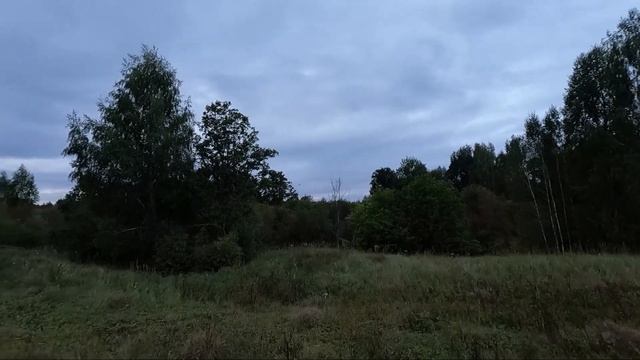 Охота на утку на вечерней зорьке. Попытка №1. смотреть онлайн