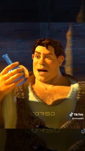 Shrek:Gigachad mode смотреть онлайн