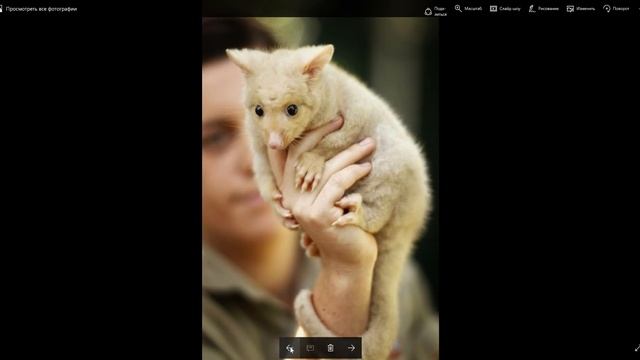 обзор интересных событий в мире и красивых фотографий.9 смотреть онлайн