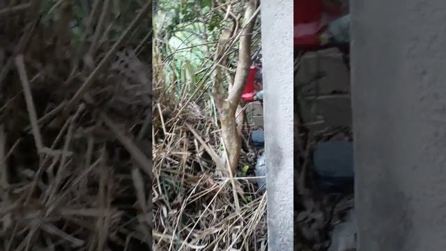 Começo da batalha na retirada de terra que caiu com as chuvas fortes em Barra do Piraí RJ #casa смотреть онлайн