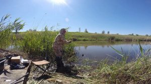 Сазаны на новом закорме. Река Сал. Юрий Философ. Кормак рулит. От Юрия Философа