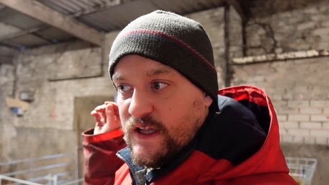Kips UK Lambing Vlog Pt 6: Lambing Triplets (Triplet Troubles) смотреть онлайн
