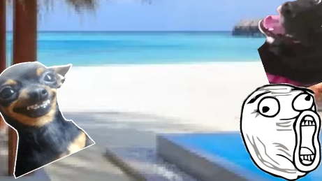 играем в чикенган с другом часть 10