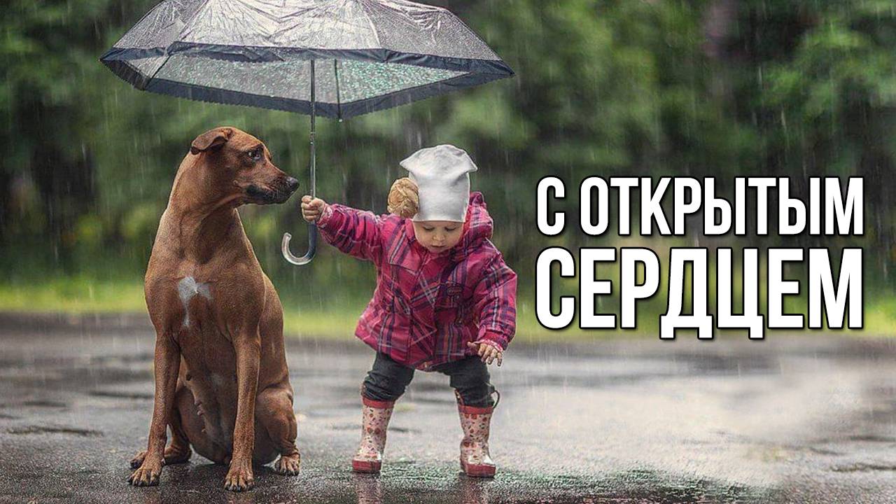 С открытым сердцем. «Вечерний Ейск» от 2025.01.24 смотреть онлайн