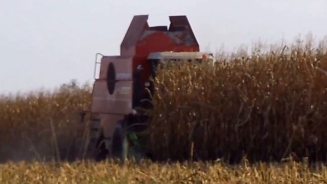 Trebbiatura mais 2015 by Gazzola смотреть онлайн