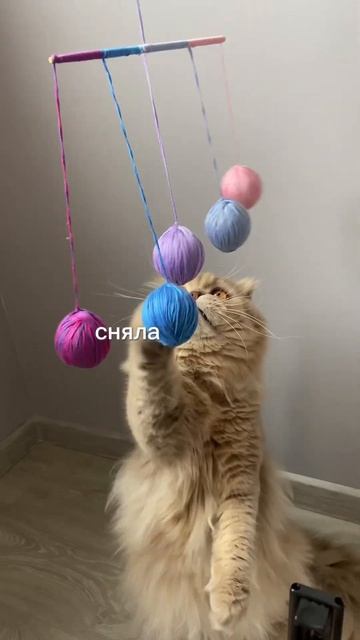 #мобиль #монтессори #монтессоридома #беременность #материнство #рукоделие #своимируками