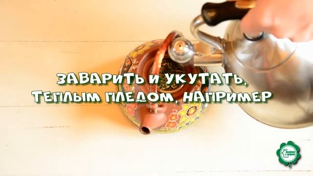 Завари такой Чай! #4 смотреть онлайн
