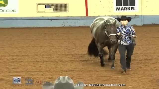 Ellexxah Maxwell's 2018 AQHA Youth All Around video смотреть онлайн