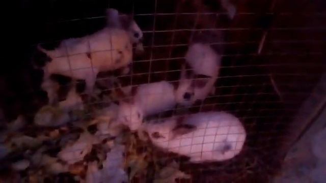 Атырау карабатан работа и отдых смотреть онлайн