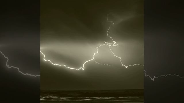 Созерцая (Оставаться внутри) смотреть онлайн