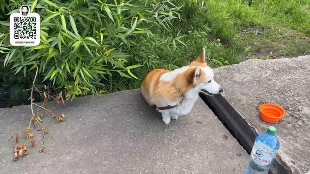 Неделя влогов. ДЕНЬ 3 смотреть онлайн