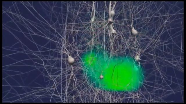 The "Magnet of Luck" audio program resonator смотреть онлайн