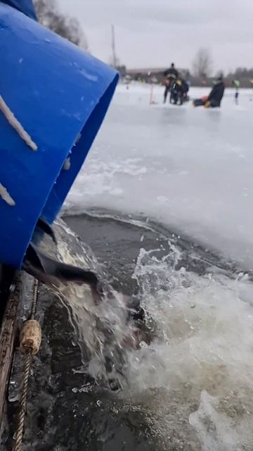 Запуск форели смотреть онлайн