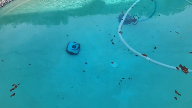 Best Robot Pool Cleaners 2024 | Which Robot Pool Cleaner Should You Buy in 2024? смотреть онлайн