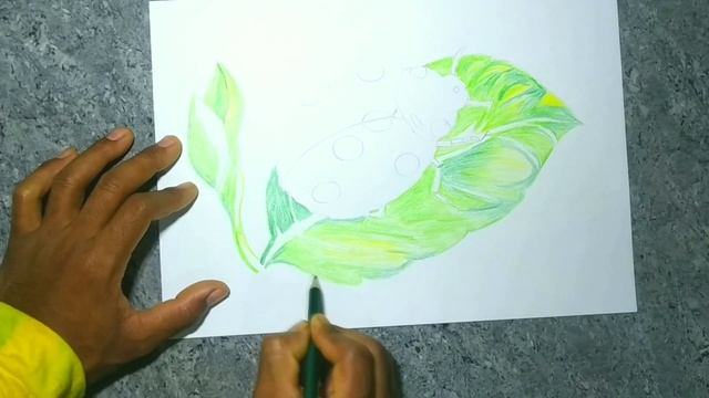 How to Draw Ladybug Drawing in Color Pencils insects | s@njuART смотреть онлайн