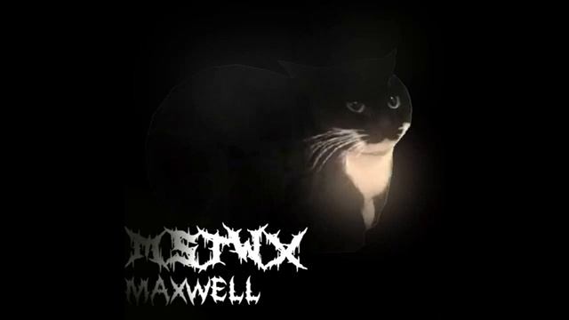 phonk remix the cat Maxwell смотреть онлайн