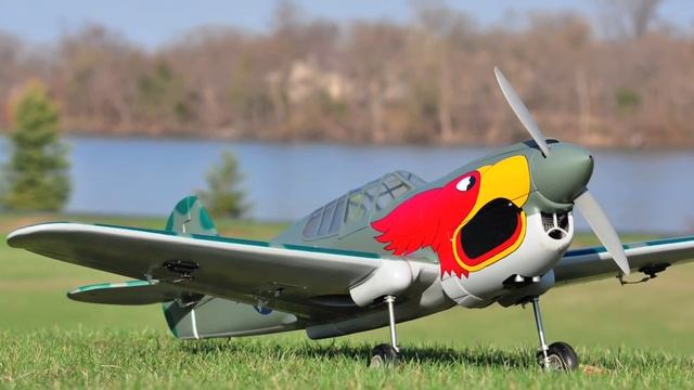 Spring Flying 2012 Lanier Laser 200 Top flite P-40 Sweet N Low Stik RC смотреть онлайн