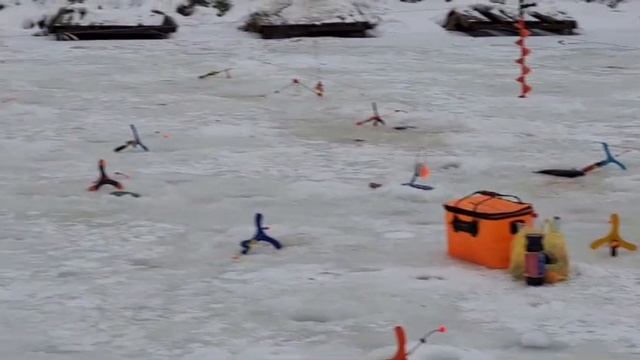 24-01-2025 смотреть онлайн