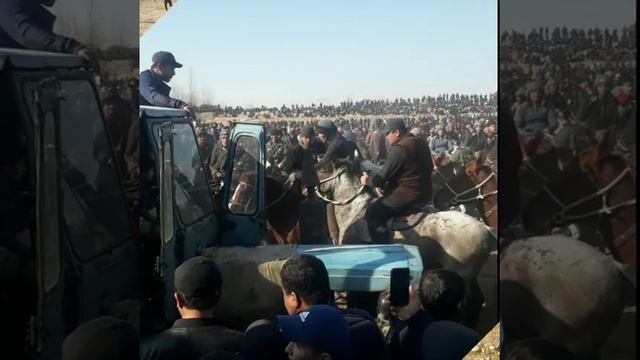 кашкадарё машхур палвони ва отлари смотреть онлайн