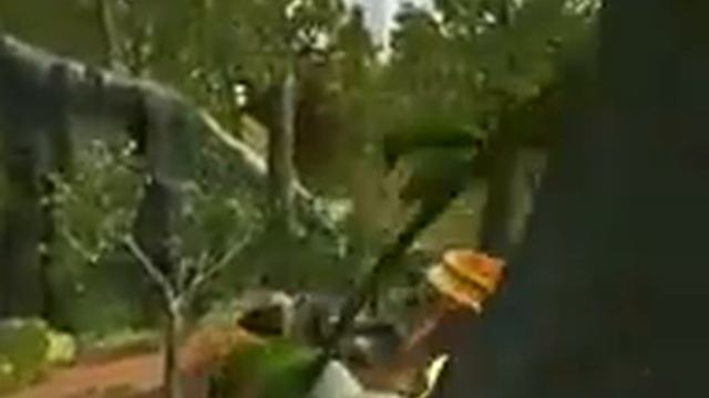 лесное приключение смотреть онлайн