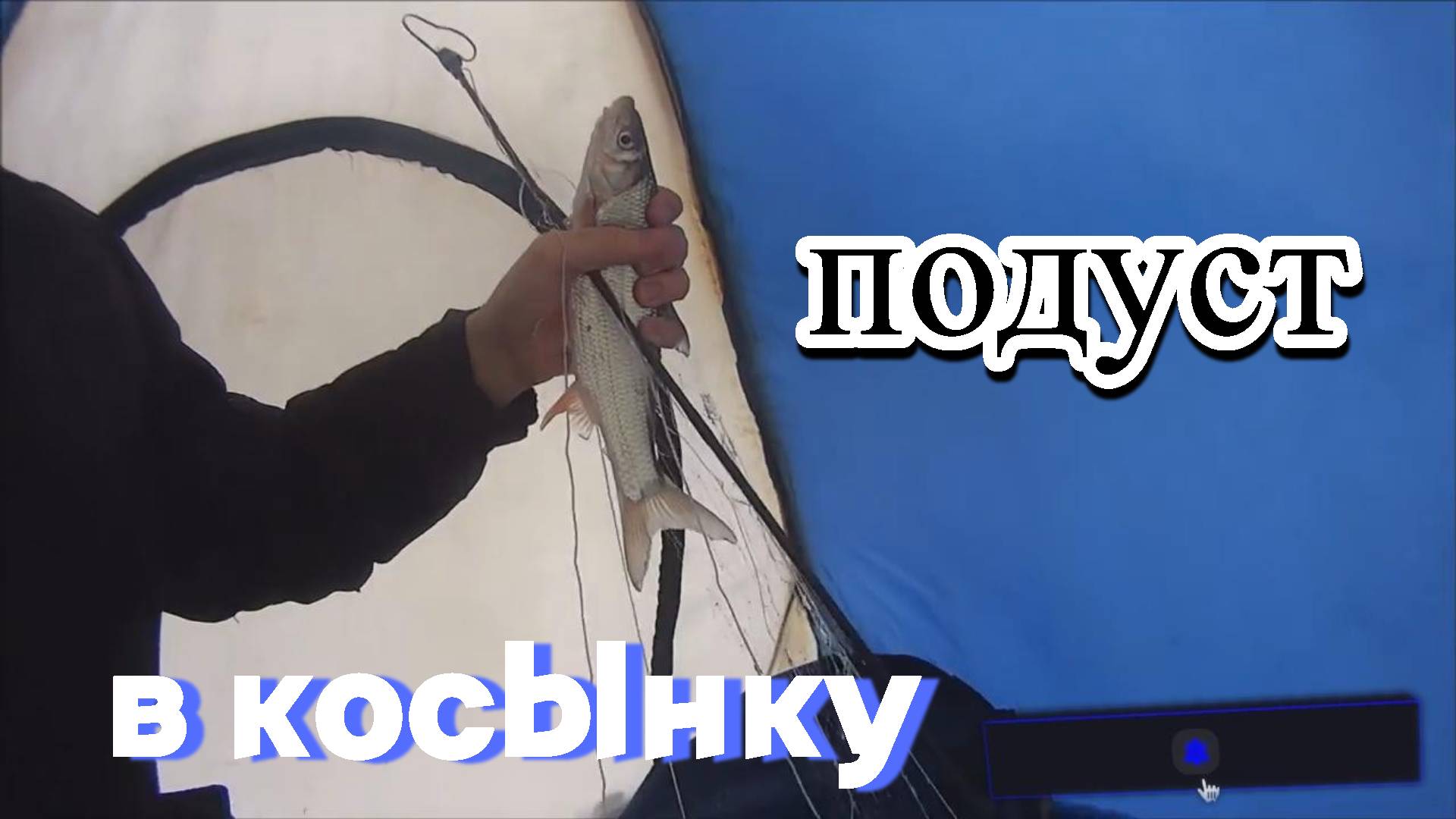 Рыбалка на косынку зимой! Подуст на косынку! Рыбалка в палатке на косынку! смотреть онлайн