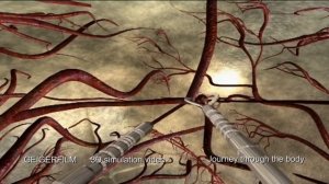 Путешествие внутри человеческого тела. Анатомия 9 класс. Симуляция биологических процессов.