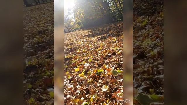 Осень смотреть онлайн