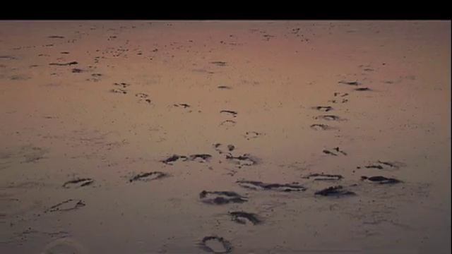دله الشعر .اداء محمد المباركـ كلمات الشاعر / ماجد المري смотреть онлайн