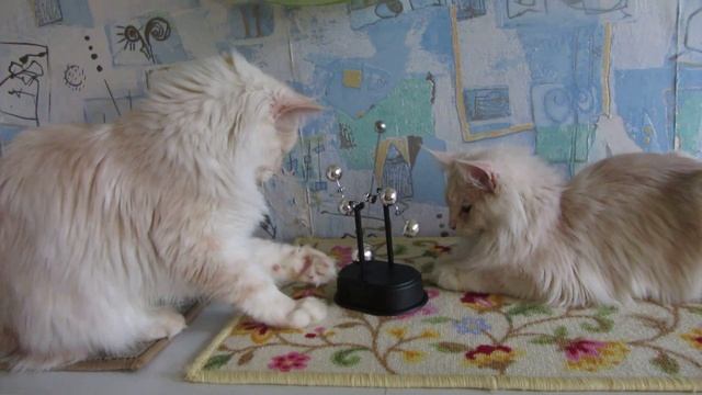 Cat pendulum stops.Кот останавливает маятник. смотреть онлайн