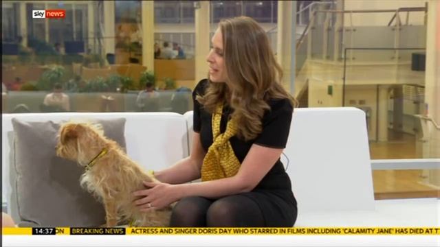 Kay Burley - Short Blue Dress Teasing On Sofa - May 2019 смотреть онлайн