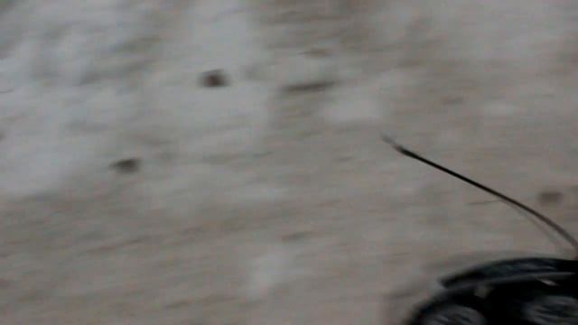 20110102 Красногорский лес смотреть онлайн