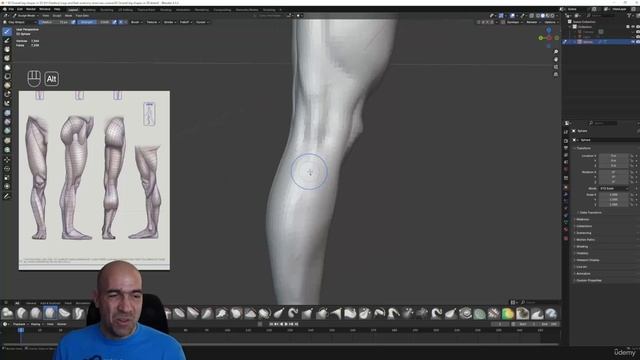 3 -Overall leg shapes in 3D смотреть онлайн