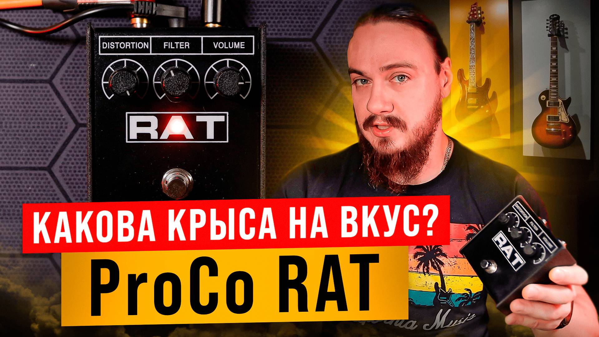 Какова КРЫСА на ВКУС? ProCo RAT (оригинал + клоны + цифра) смотреть онлайн