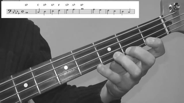 Bass Scales Lesson Bb minor natural (Aeolian) Exercise - How to play for Beginners смотреть онлайн