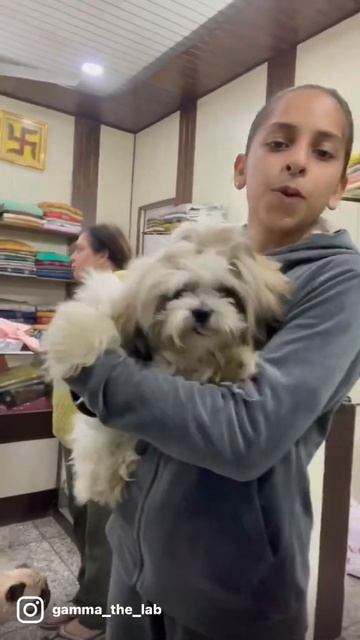 Love you Oreo gamma new friend #gammathelab #shorts смотреть онлайн