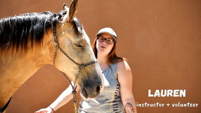 Barn Yard Equine | Becoming a Non Profit смотреть онлайн